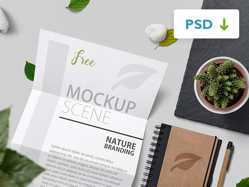 Nature Stationary Scene PSD Mockup