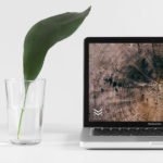 MacBook Pro with Plant PSD Mockup
