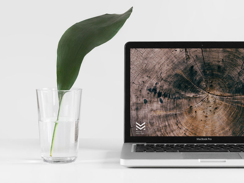Download Macbook Pro With Plant Psd Mockup Mockupsq Yellowimages Mockups