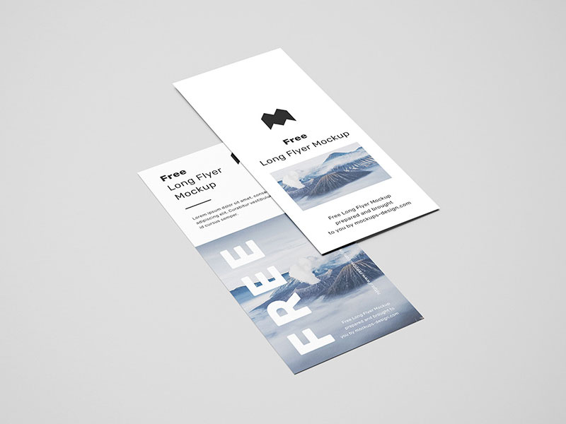 Long Flyer PSD Mockup