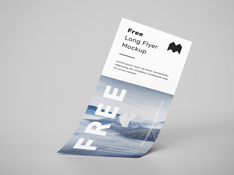 Long Flyer PSD Mockup