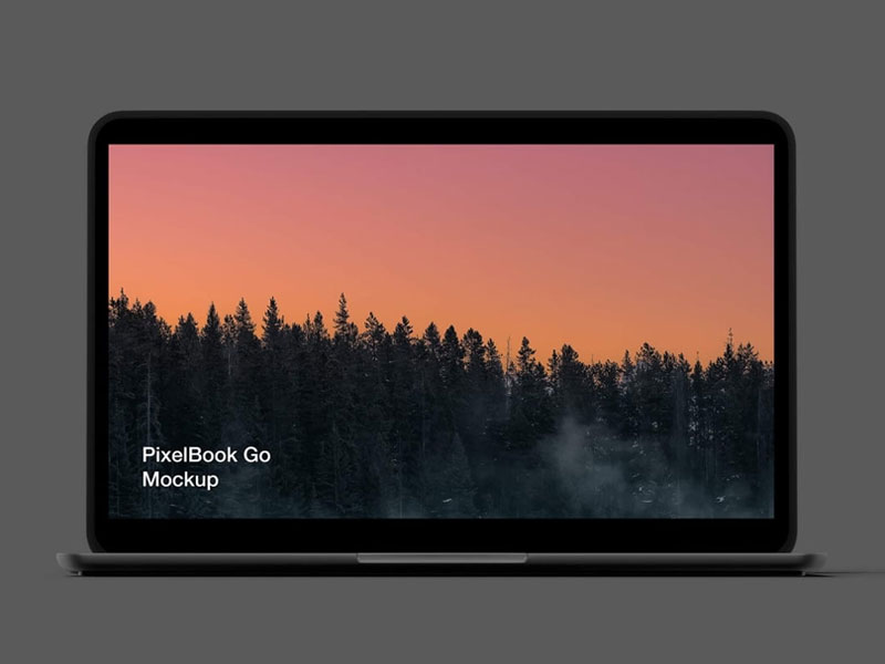 Pixel 4 and PixelBook Go PSD Mockup